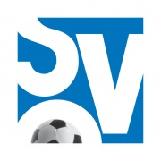 FSV比辛根08