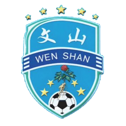 保山队